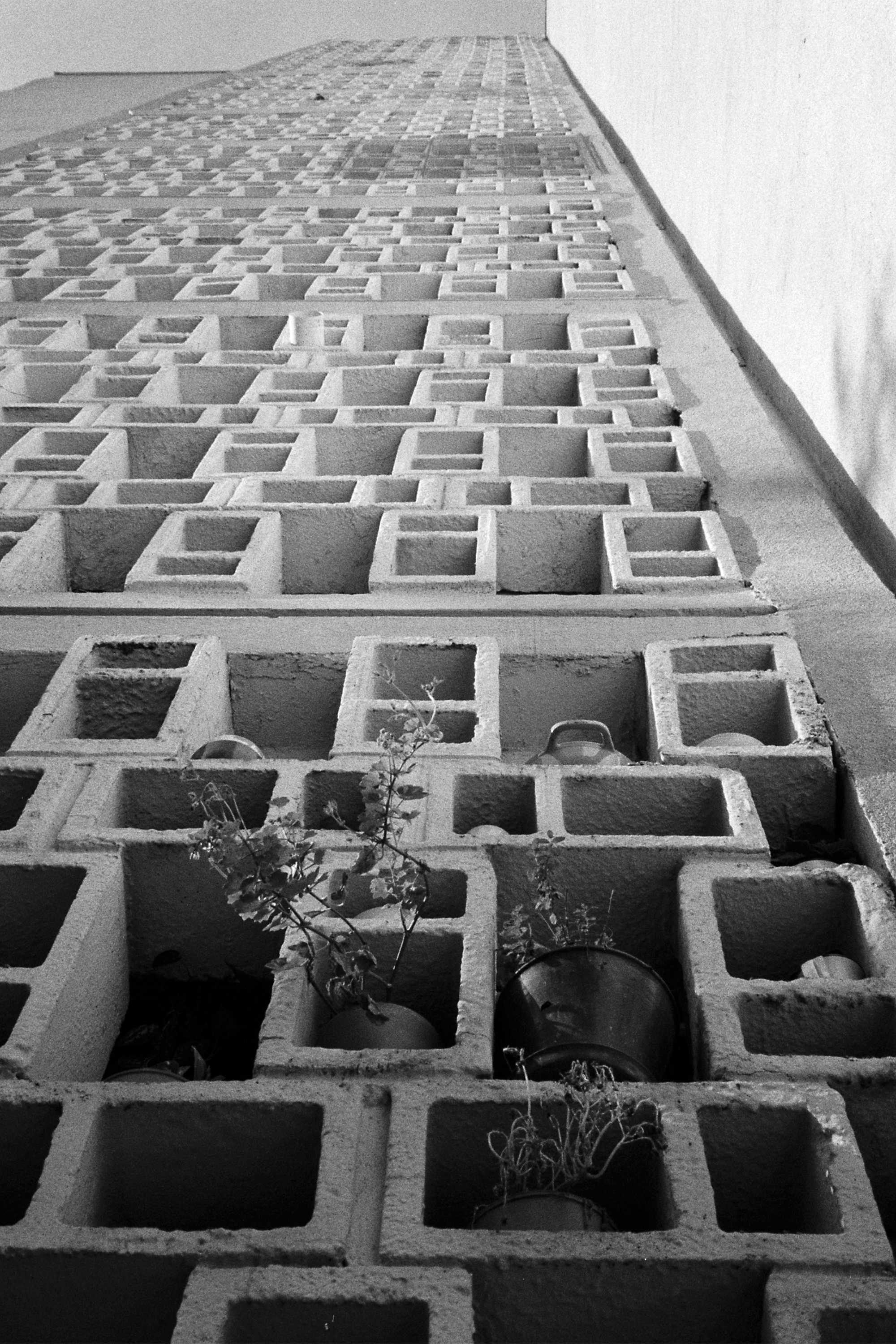 08a tudor-brandusoiu memorii-brute 1 Memorii brute   000058 copy