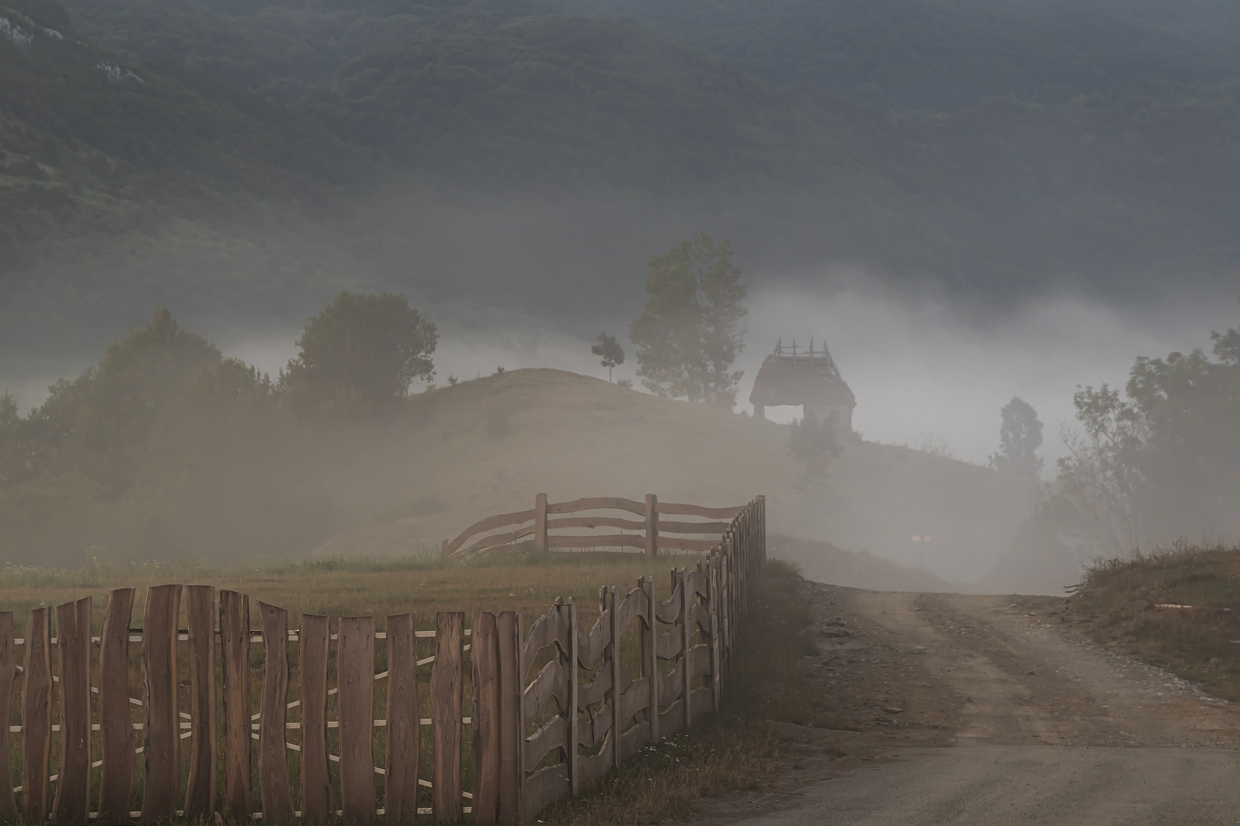 10b corina-tatar dumesti-parte-din-sufletul-nostru IMG