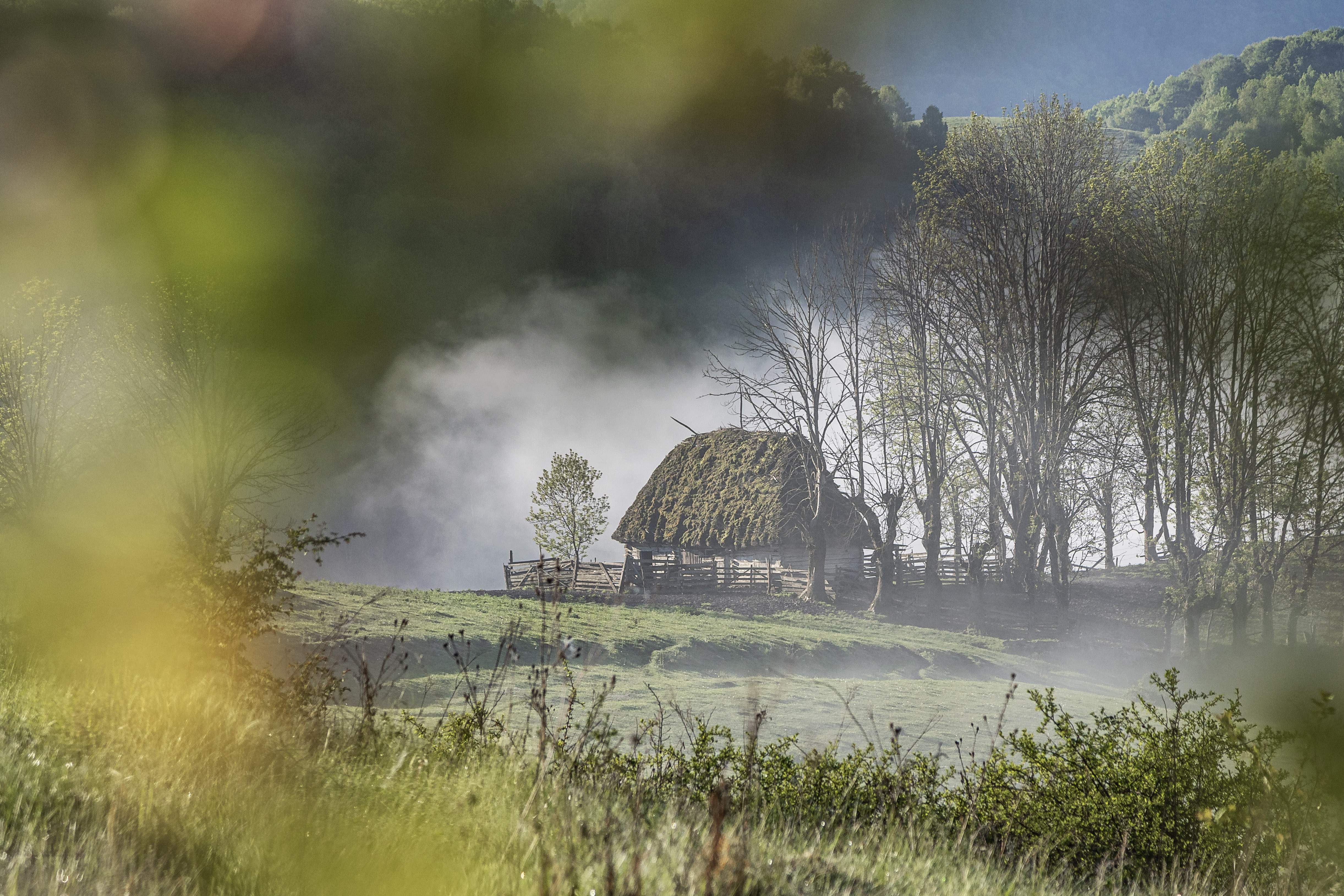 10d corina-tatar dumesti-parte-din-sufletul-nostru IMGL