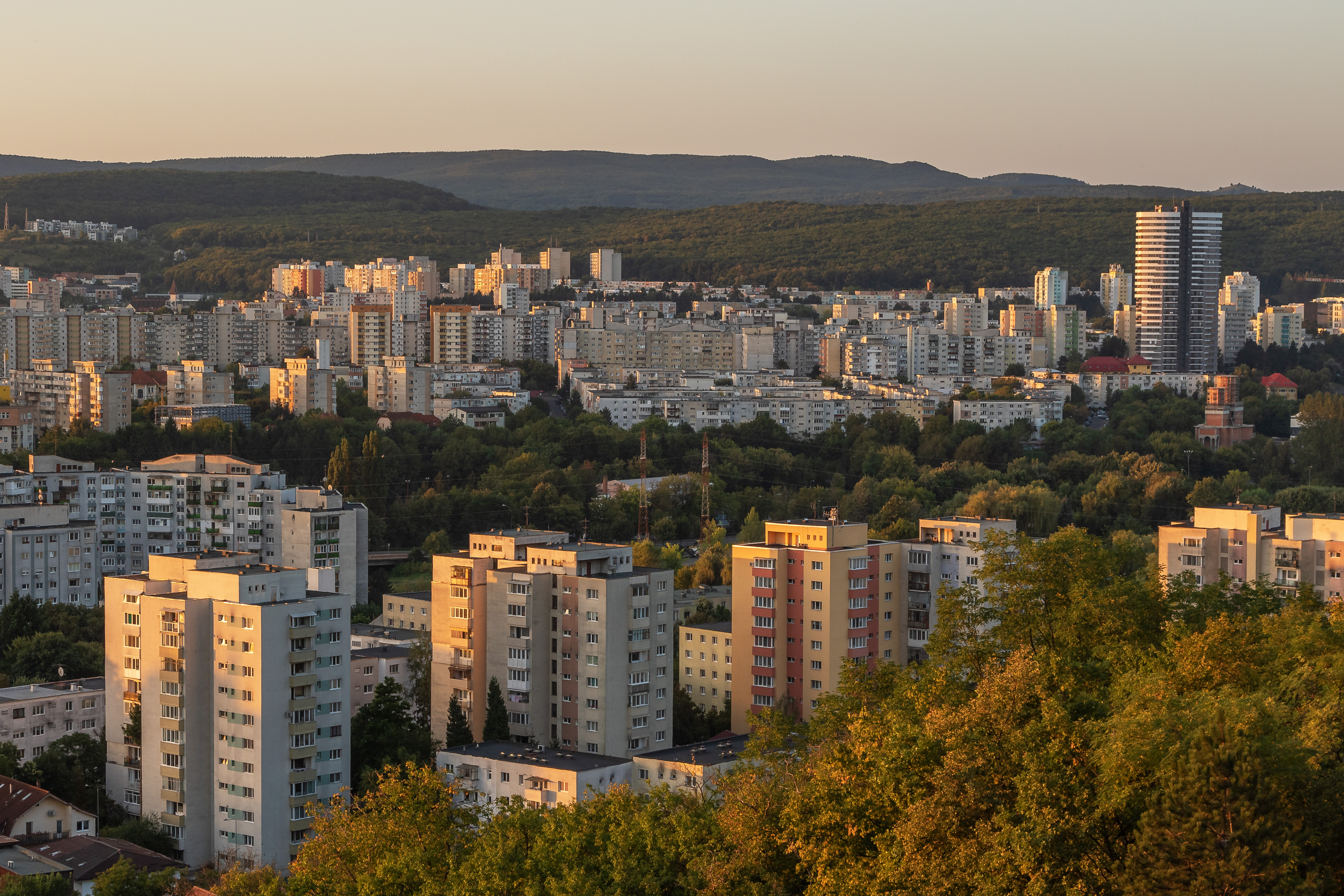 12c corina-tatar dezmortire IMGL