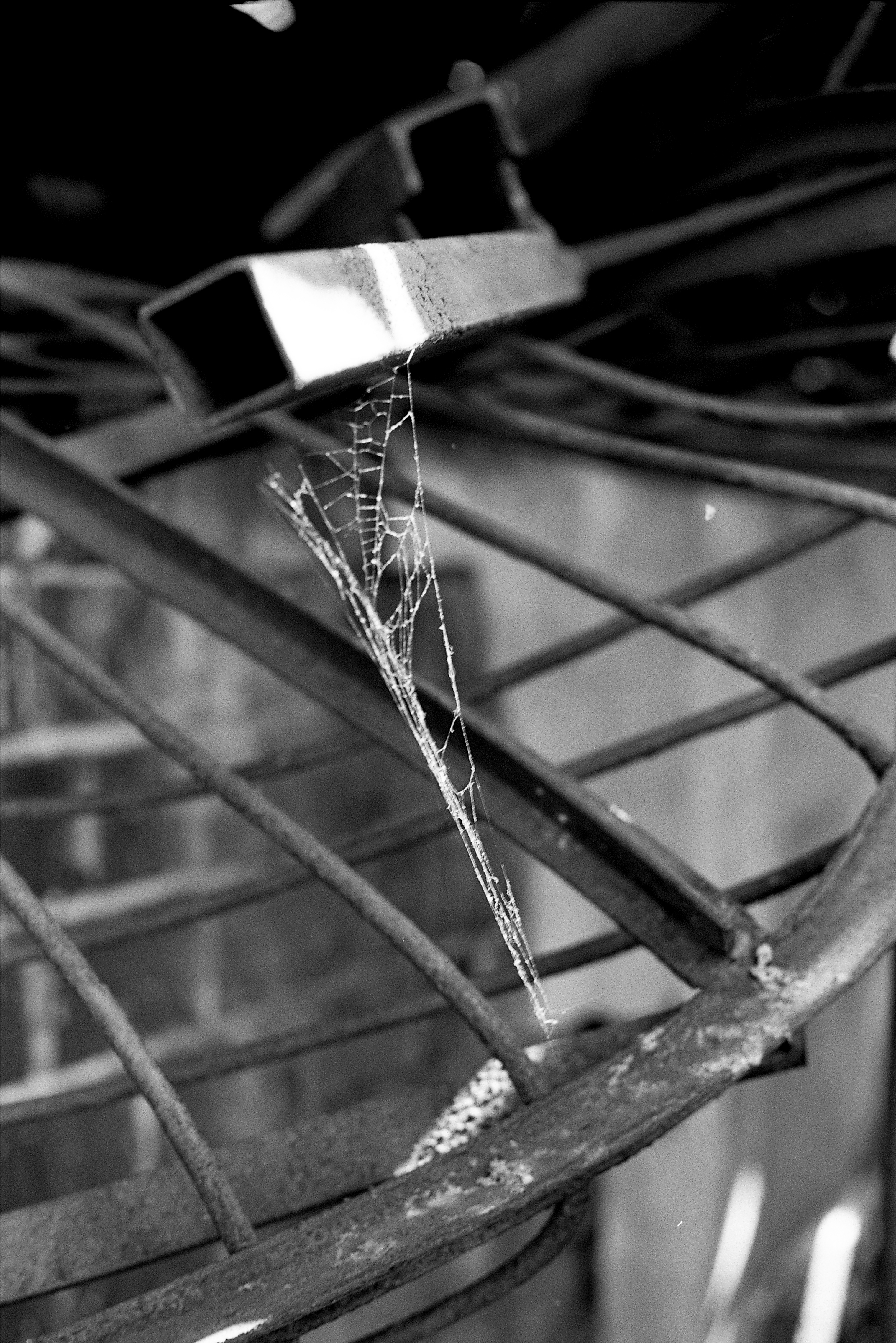 28c larissa-koncz fabrika-fire LK 0825