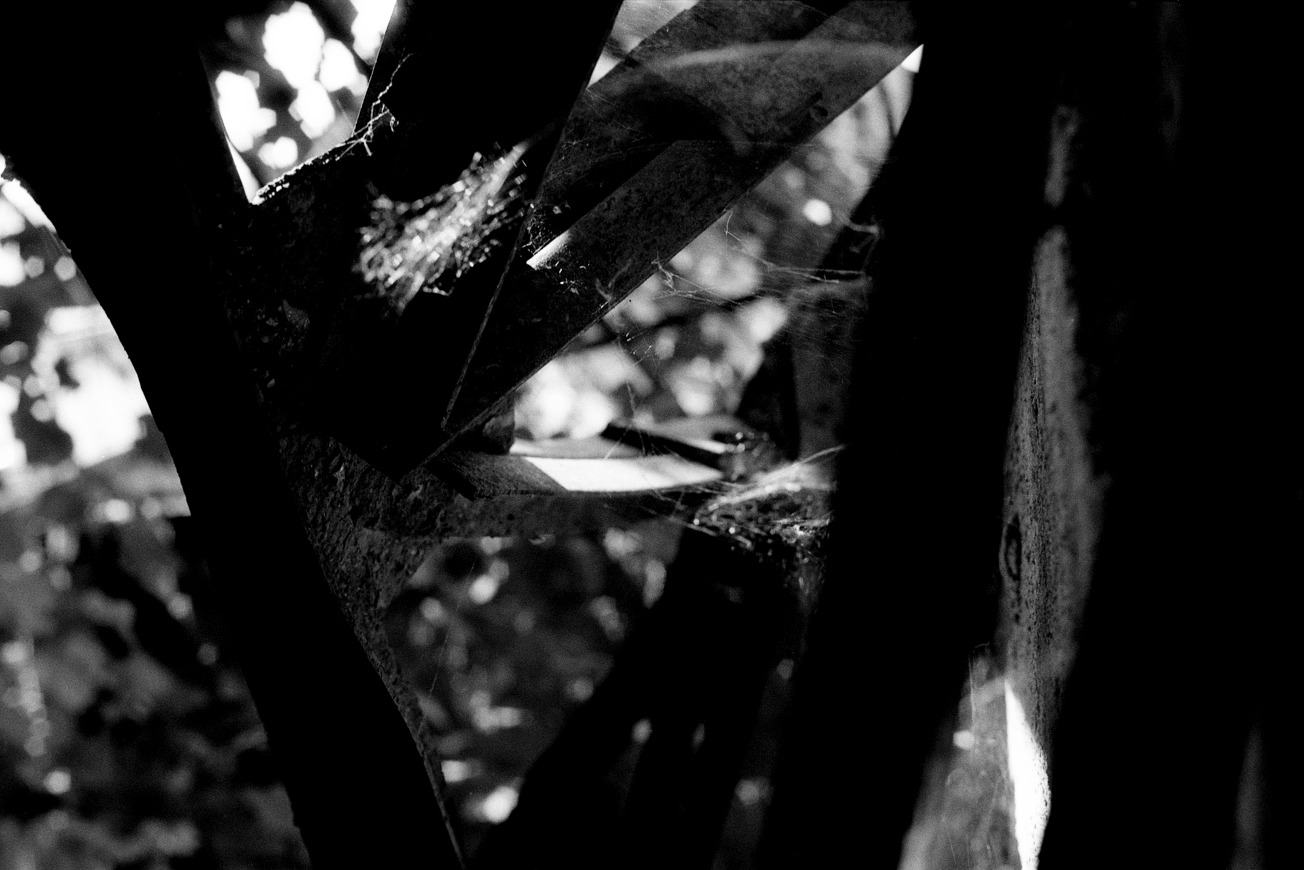 28d larissa-koncz fabrika-fire LK 0825