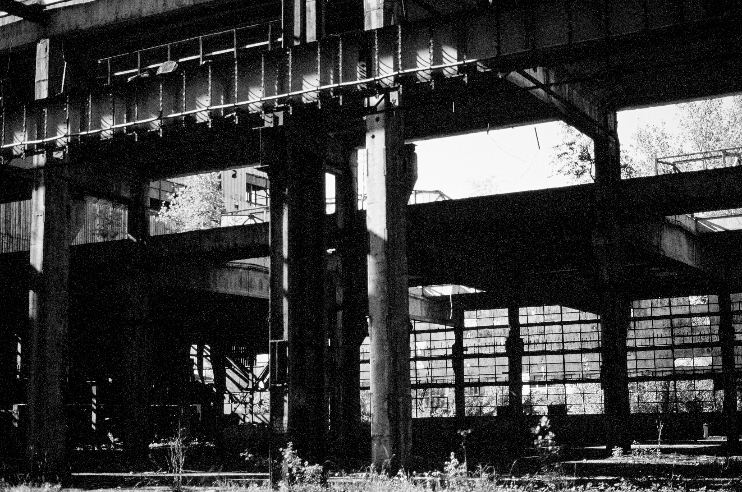 31b larissa-koncz fabrika