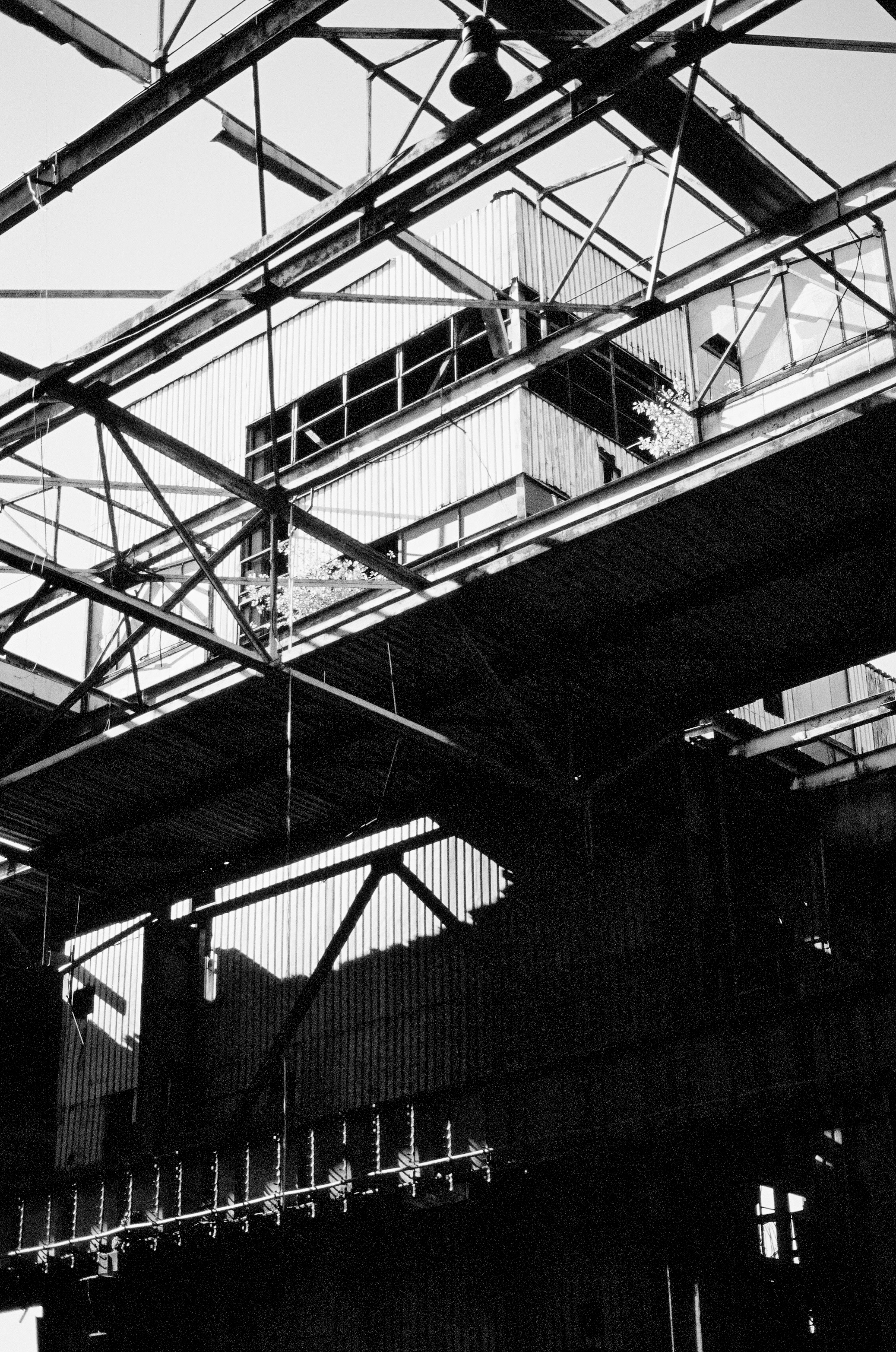 31c larissa-koncz fabrika