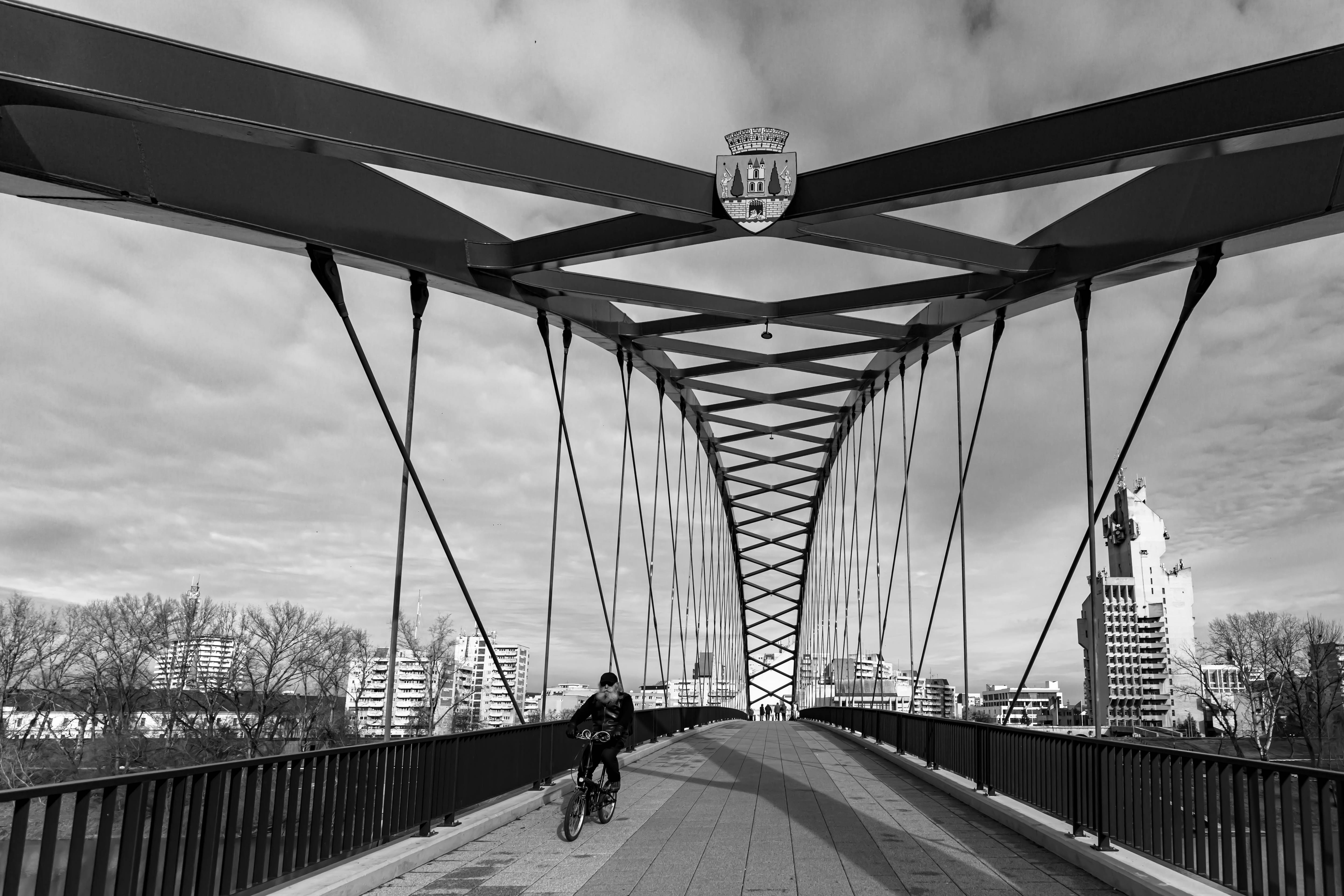 34a dora-trusca geometrii-cenusii-satu-mare dora trusca satu mare 2025