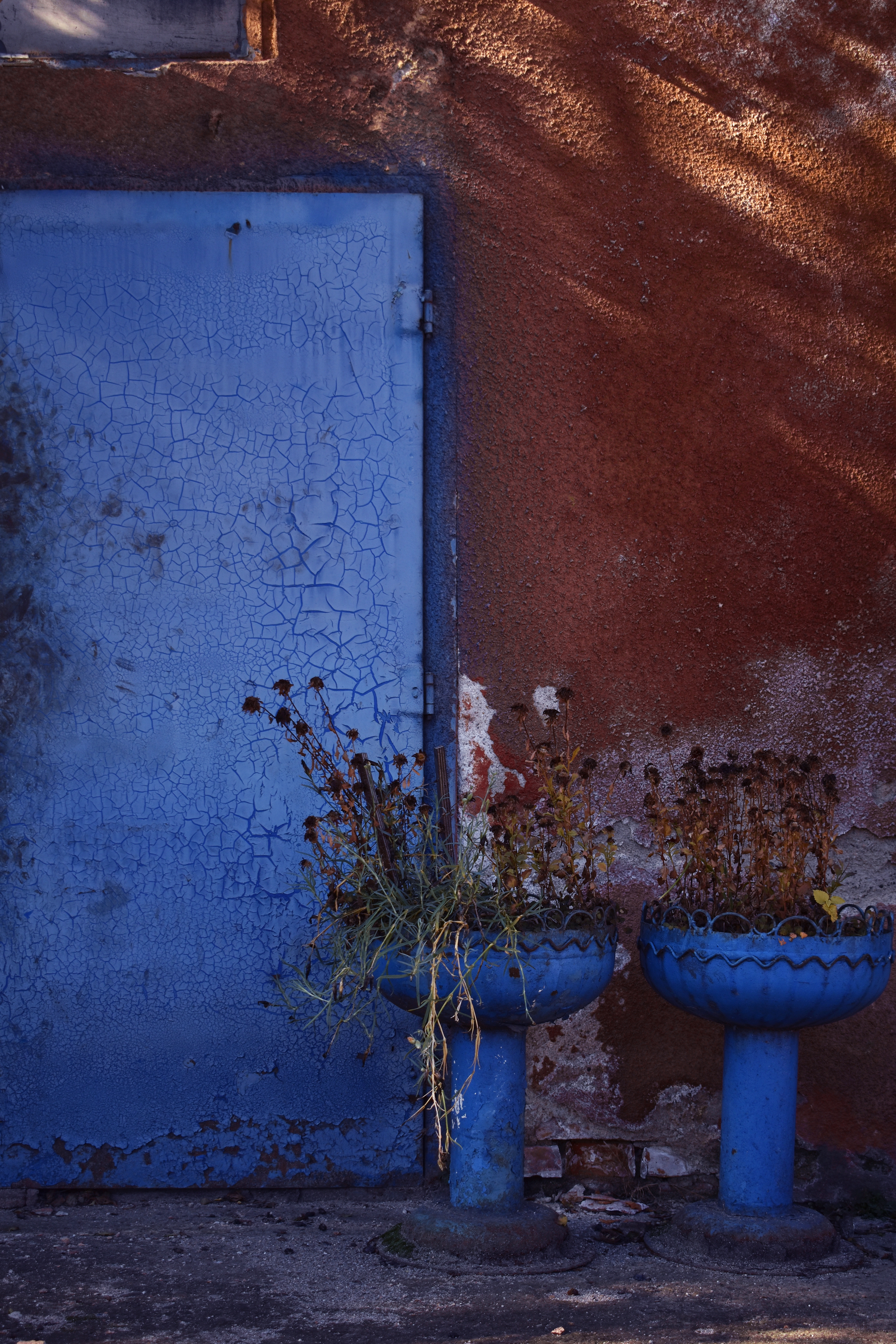 49d stefania-buciuman drafts