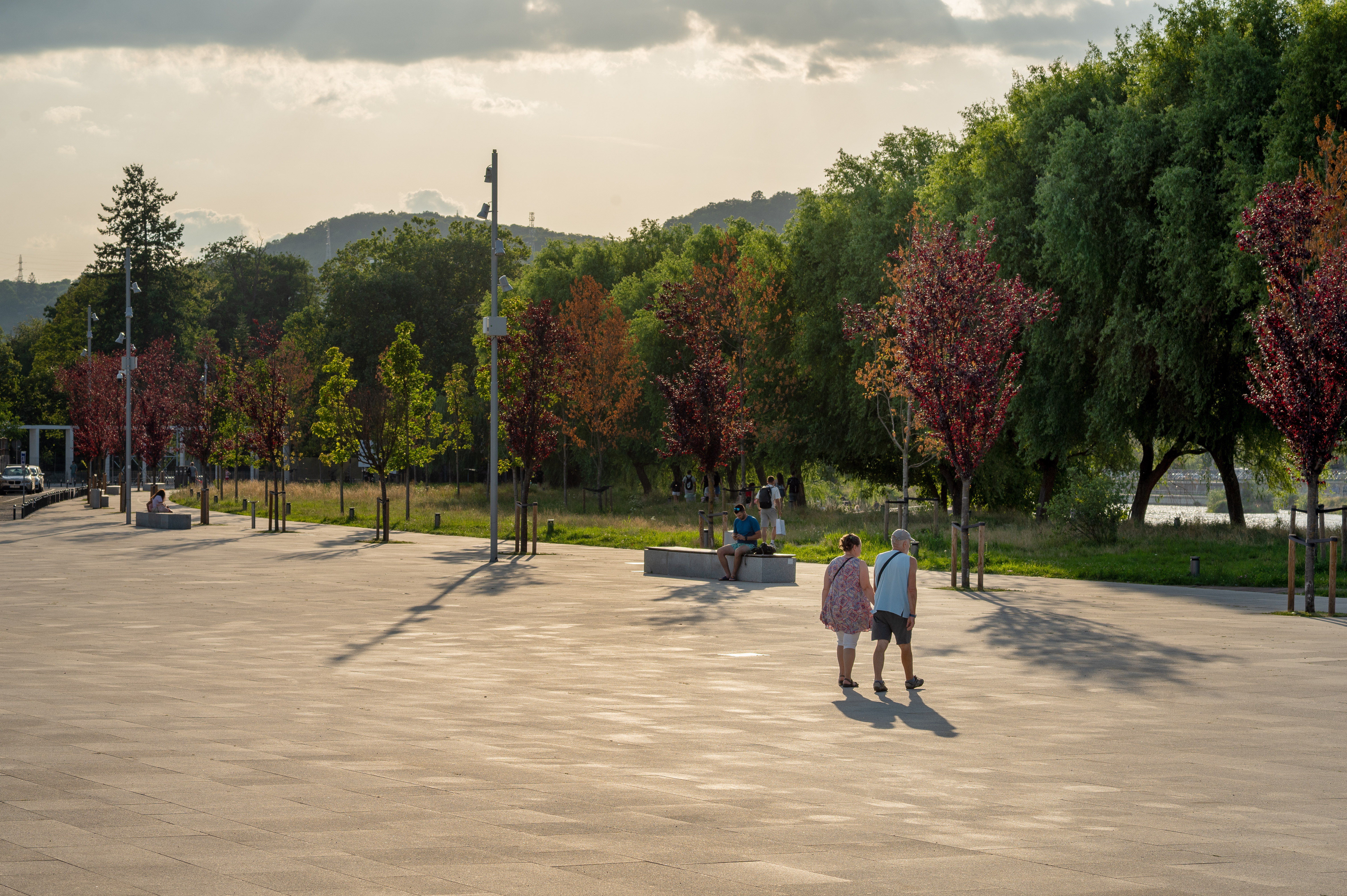 51a sumlea-marius platoul-salii-sporturilor-horia-demian-cluj-napoca Z61