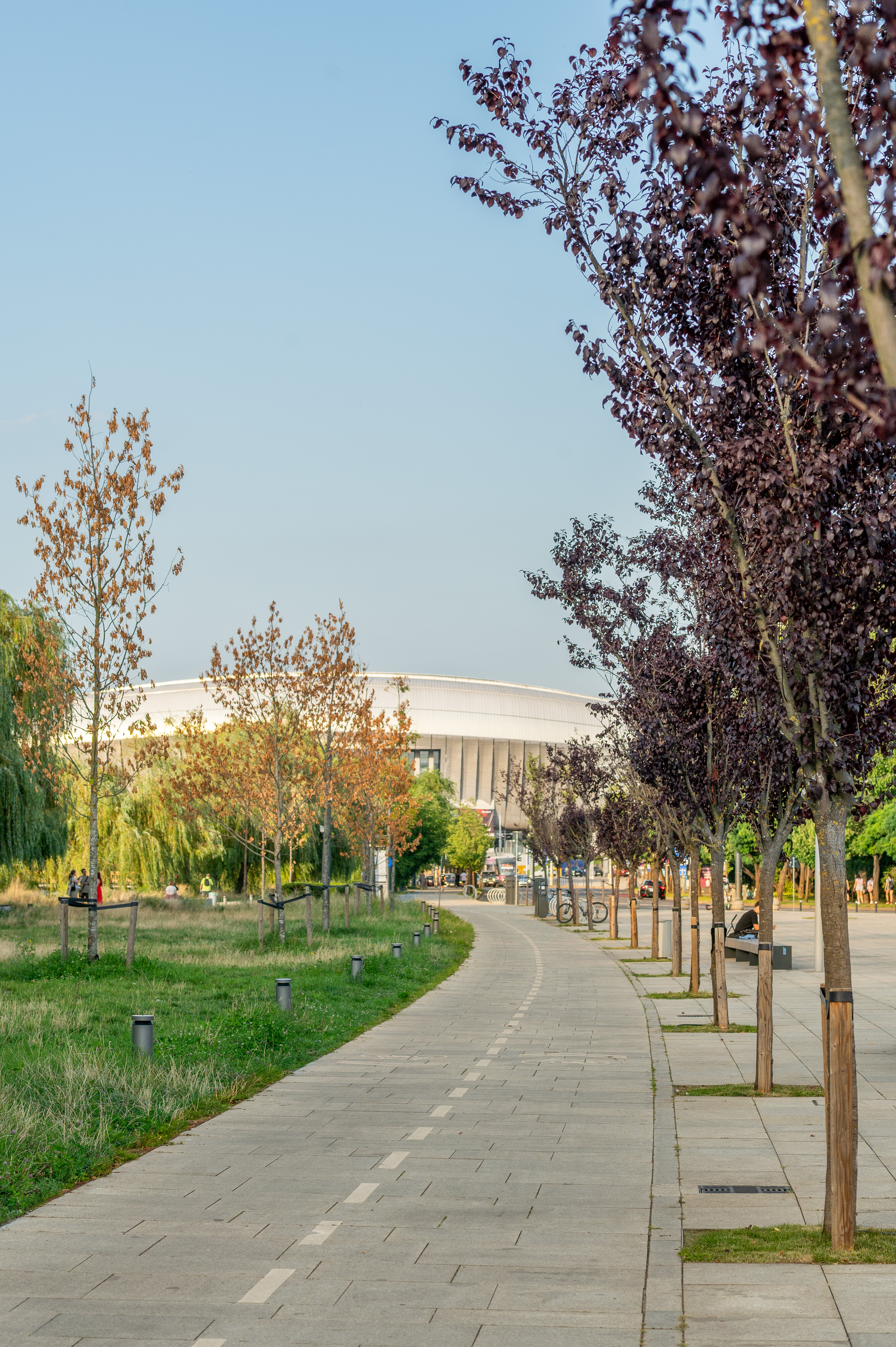 51b sumlea-marius platoul-salii-sporturilor-horia-demian-cluj-napoca Z61