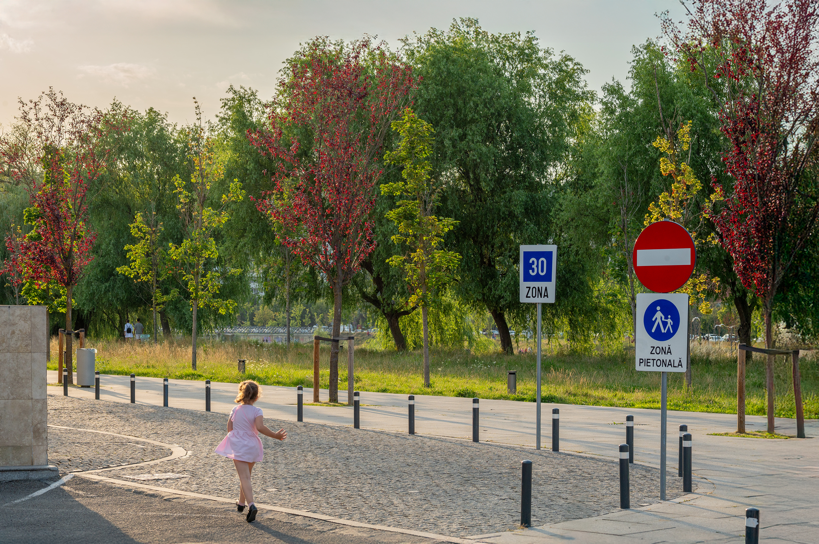 51c sumlea-marius platoul-salii-sporturilor-horia-demian-cluj-napoca Z61